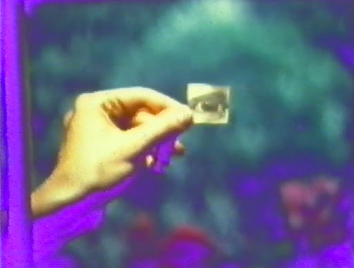 aAwLg_GD_9RNqscMJ9oCLbkjdQtxTAETBLs5y53D-QmFihXy2Ufu4UAKObtQ510LGwz7qiytjaGuFgjZCP7uD5_OmXmh5fZmwurvGR2lSlnY4NEfZf9UQ8uXVNQGwIqC6bW5z741HA