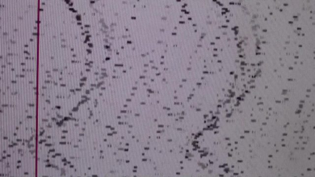 COCCINELLE 70 frame001