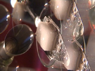 19 D'ASSENZIO M'ASSENTO elogio decadente frame013