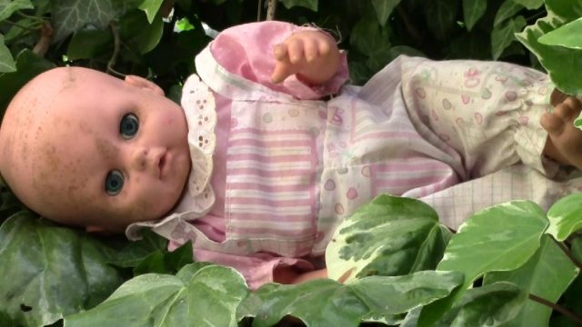 32 tutto un bel giardino 011