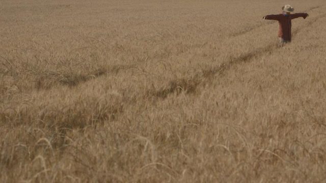 il-contrario-di-vita_03