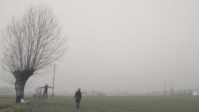 il-contrario-divita_01