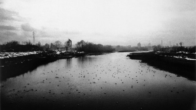 il-futuro-del-mondo-passa-da-qui-official-photo2