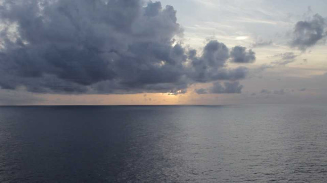 Widebluedelivery Alecattaneo 9