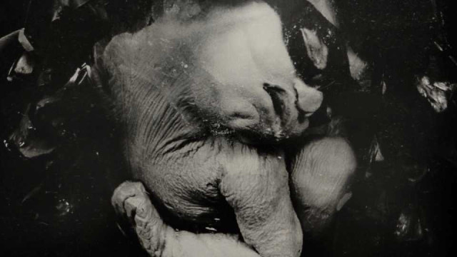 Witkin & Witkin 3
